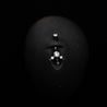 ‘Slow Dance’ Dangle Detail Navel