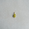 AVOCADO CHARM