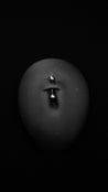 Basic Belly Bar