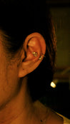 FREEDOM Bee Labret
