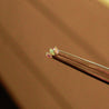 Opal Marquise Fan Labret Ear Piercing Titanium Jewellery
